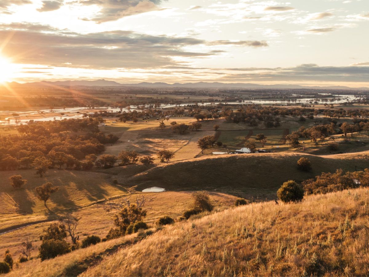 [Land for Sale] Eagle View Tamworth Estate, Moore Creek OpenLot